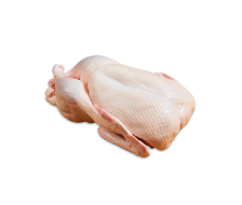 Pato entero limpio 1,6-2 kg (1 caja de 4 piezas)