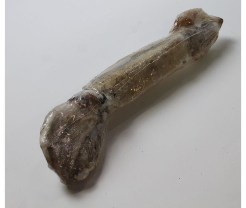 Pota IQF +23cm 10% (1 caja de 6 kg)