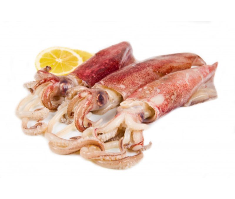 Pota IQF +23cm 10% (1 caja de 6 kg)