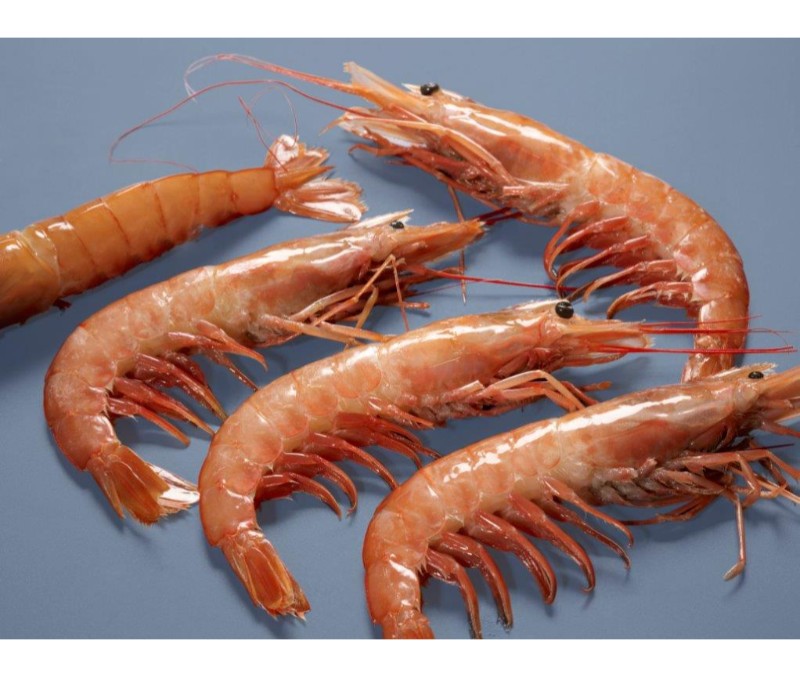 Langostino austral 30-40 piezas (1 estuche de 2 kg)