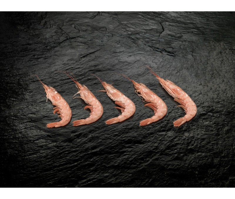 Langostino austral 30-40 piezas (1 estuche de 2 kg)
