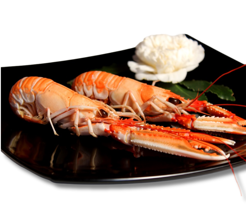 Cigala nº00 4-8 pz/kg (Pieza de 1,5 kg)