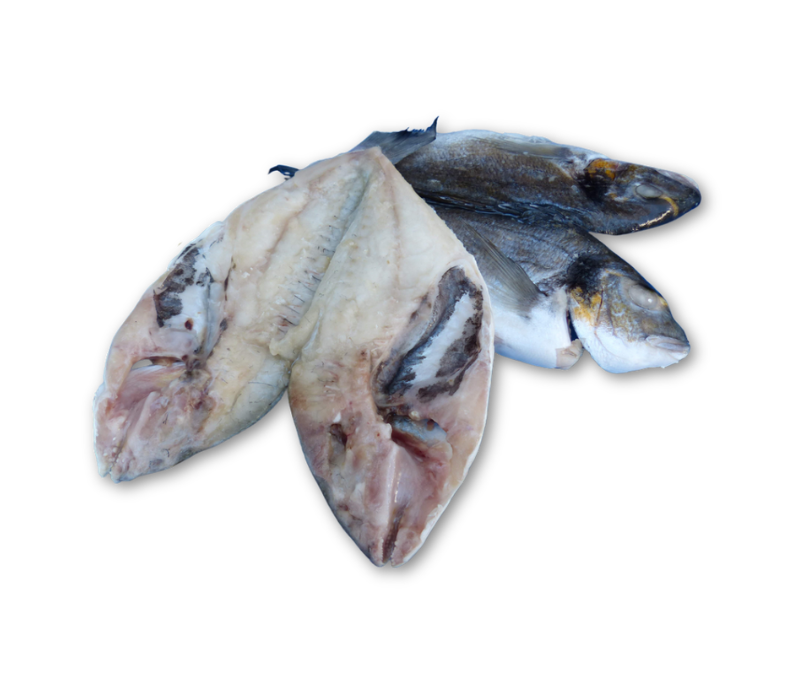 Dorada abierta 10% (1 caja de 5 kg)