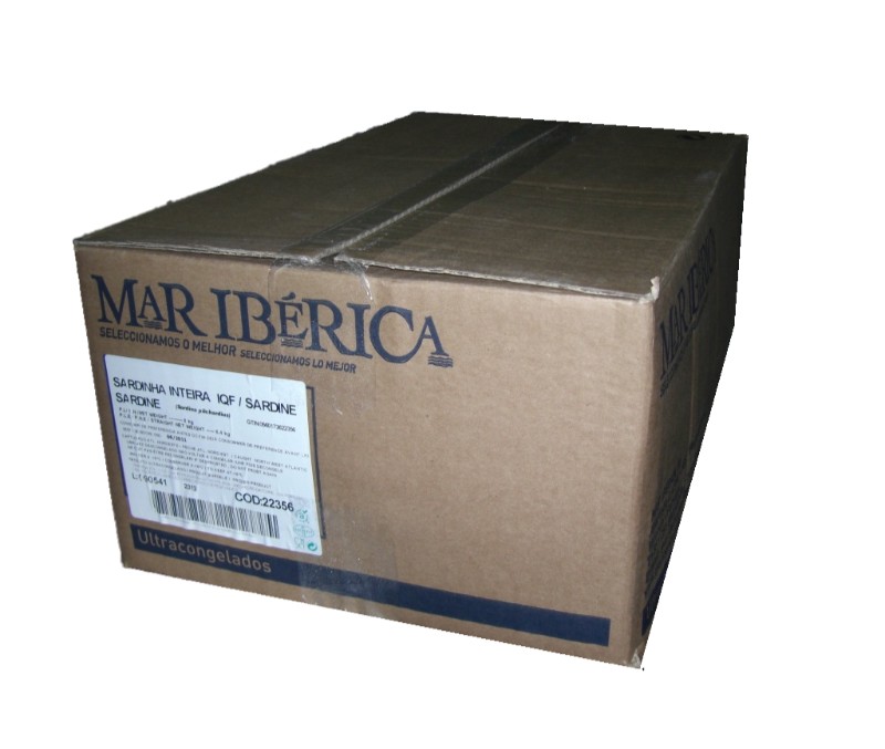 SARDINA ENTERA