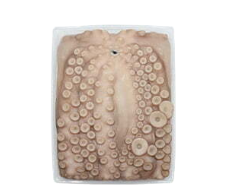 Pulpo nº1 C/C 2-3 kg