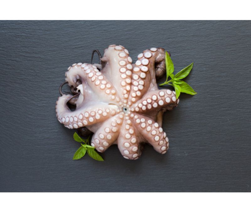 Pulpo Rey Roca Negro con cabeza Nº1 (Pieza de 2-3 kg)