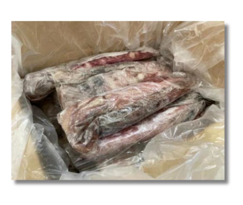 Calamar de Marruecos GG (Caja de 10 kg)