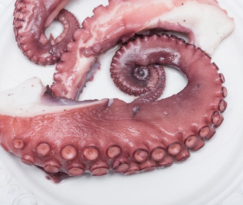 Pata de pulpo cocida (4 bandejas de 1,5 kg)