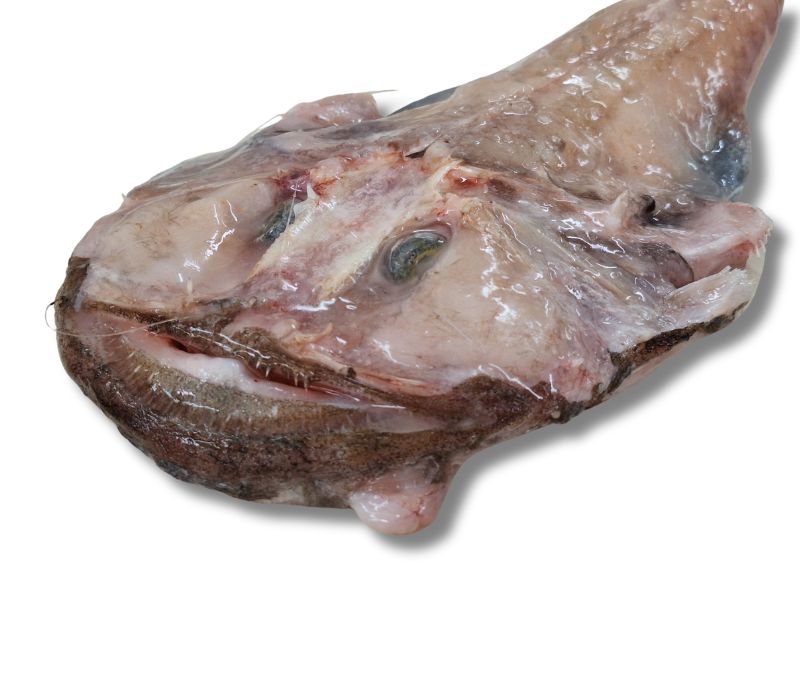 Rapitos del cantábrico +800 g/pieza (Caja de 10 kg aprox.)