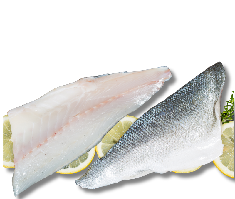 Filete de lubina 160-200 IQF c/p 20% MB (Caja de 5kg)