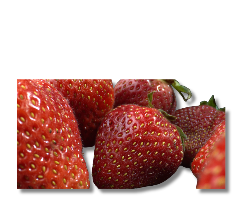 Fresas congeladas enteras con cáliz MP 5blx1kg