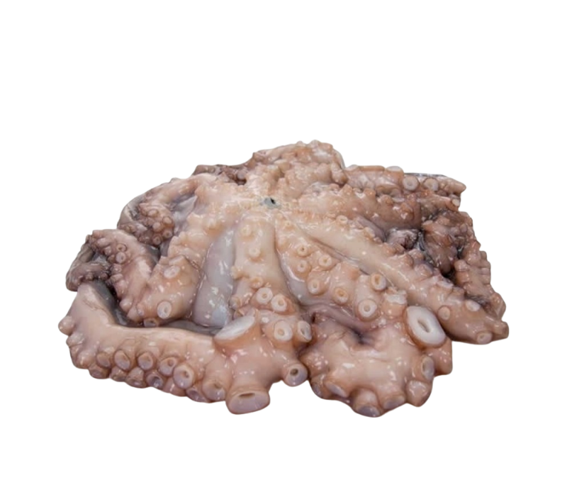 Pulpo ind. c/c 3BJx4/6Kg