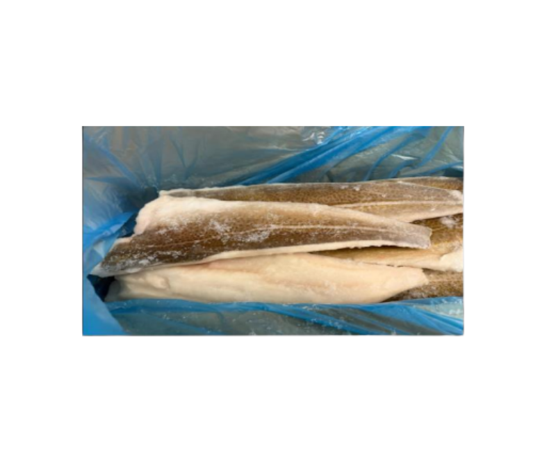 Filete de bacalao con piel 500-1000 IQF 10% 1x10 kg