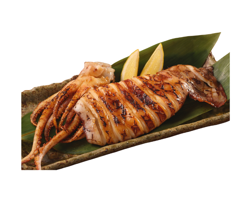 Chipirón nº4 13-16 cm/pieza (1 caja de 19 kg aprox.)
