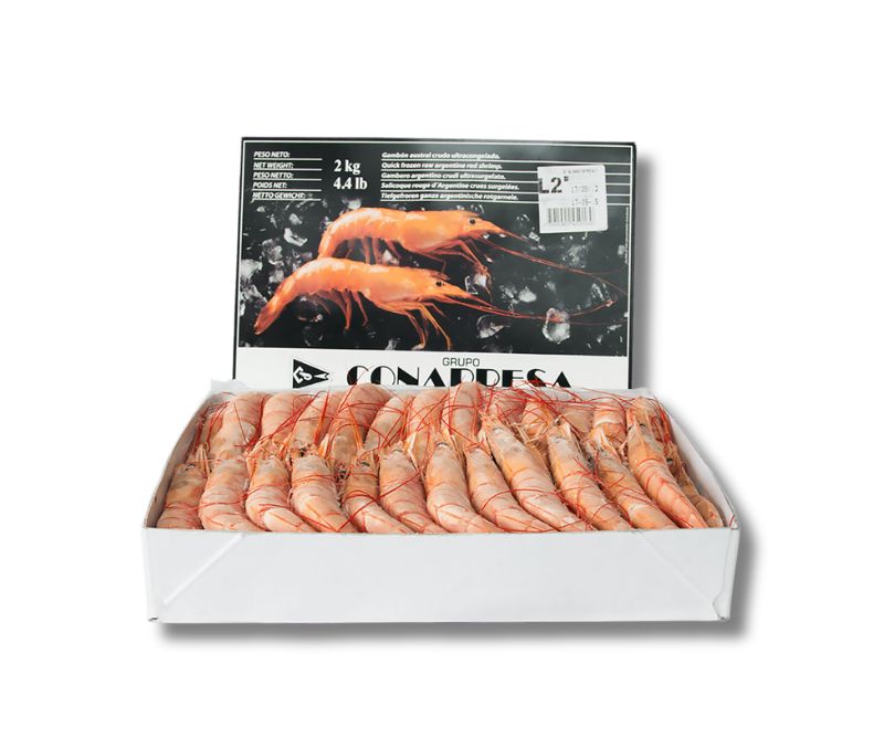 Gambón-lang- austral C 10-20 P/kg (1 estuche de 2 kg)