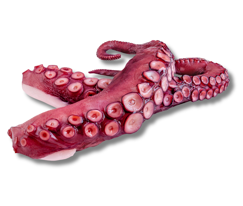 Pata cocida de pulpo 300-400g (3 bandejas de 2 kg)