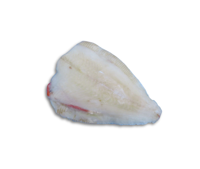 Platija 300/500 interfoliada (2 piezas de 13 kg)