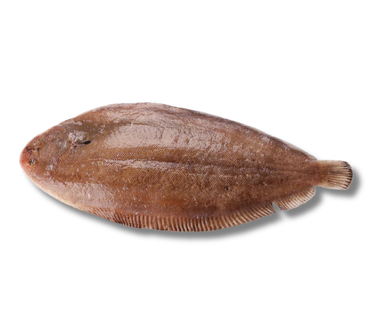 Lenguado eviscerado interfoliado 300-550 (1 caja de 15kg aprox)