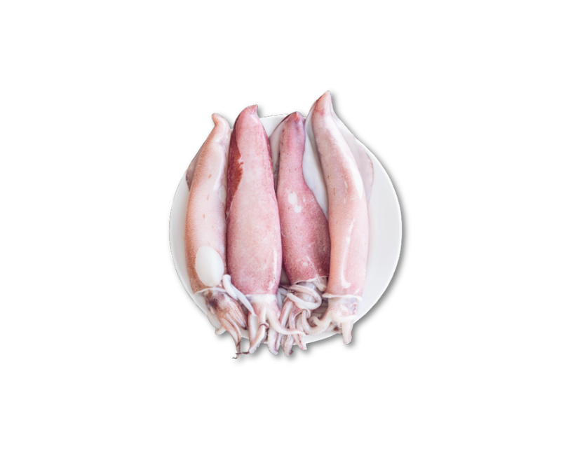Pota entera NZ 400-600 (1 caja de 18 Kg)
