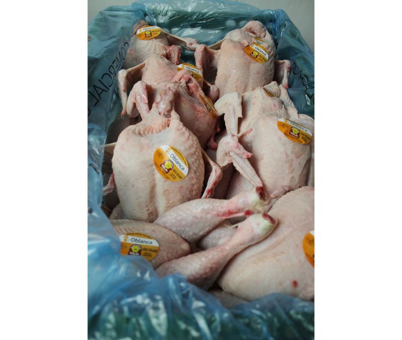 Pollo limpio halal 1,45 - 1,60 kg/pieza (1 caja de 10 piezas)