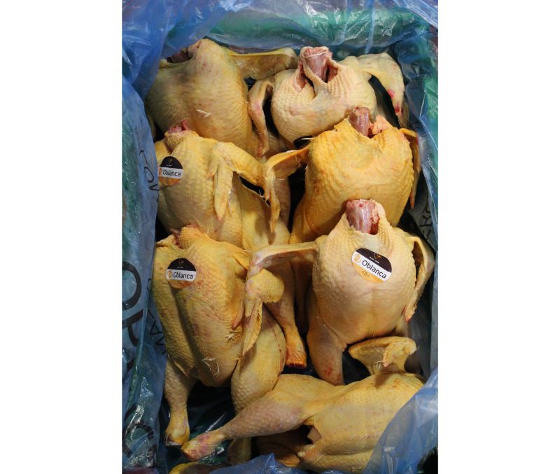 Pollo entero amarillo grande 7E (1 pieza de 2,2 - 2,5 kg)