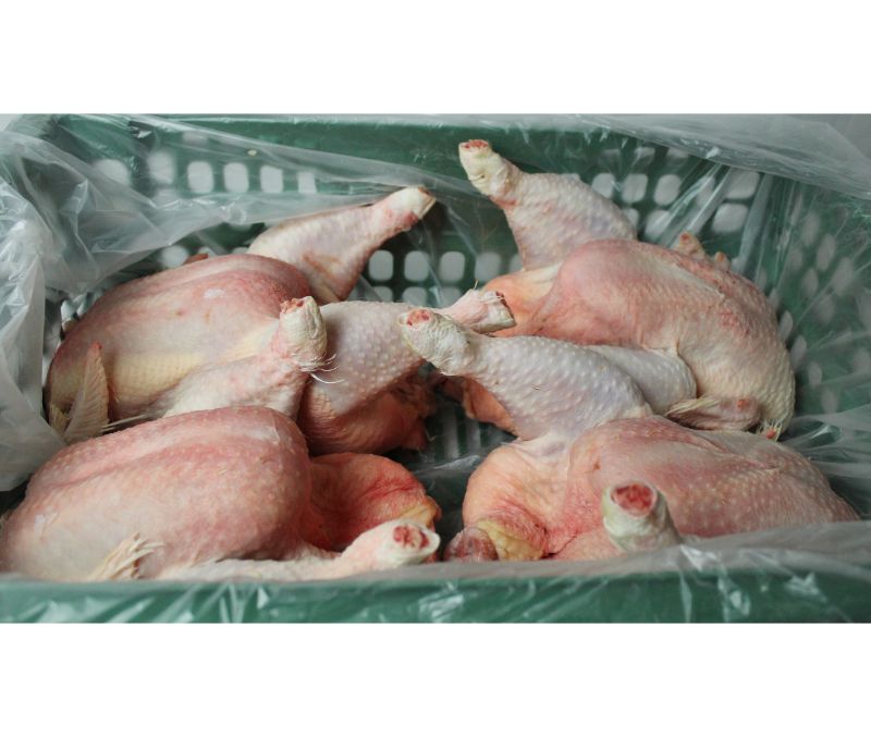 Gallina entera gorda (1 caja de 10 kg aprox.)