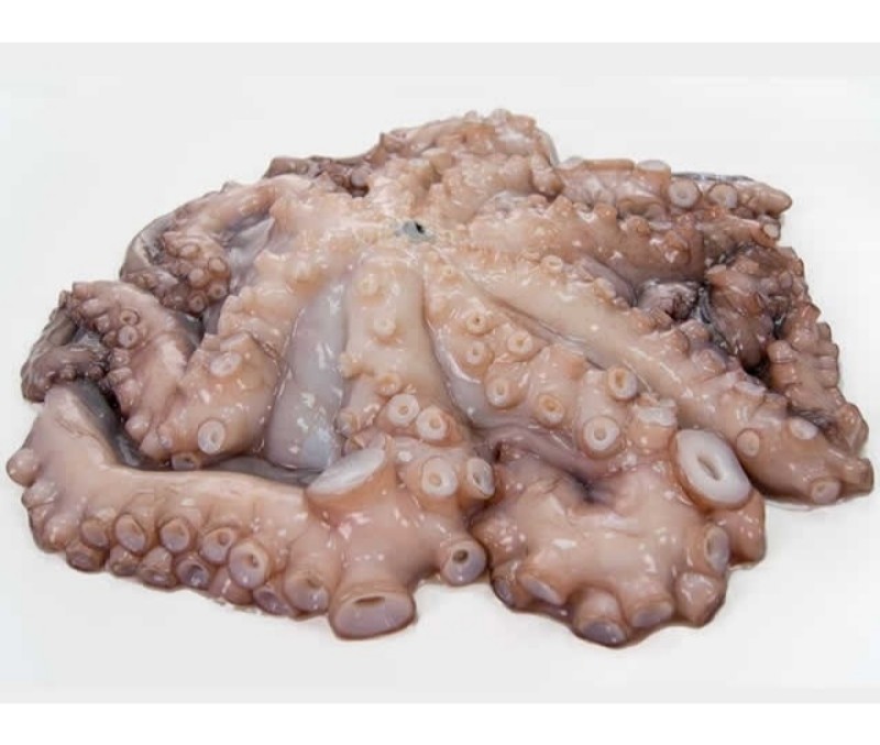 Pulpo nº00 (1 pieza de más de 4 kg)