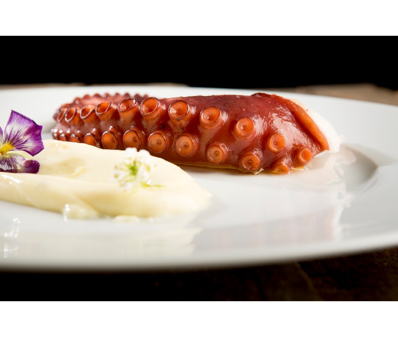 Pulpo nº00 con cabeza (1 pieza de 2,8-4,8 kg aprox.)