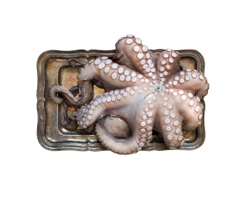 Pulpo individual con cabeza nº1 (4 bandejas de 2-3 kg aprox)