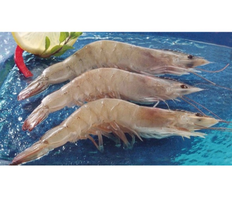 Langostino vannamei 30-40 piezas/kg (1 estuche de 2 kg)