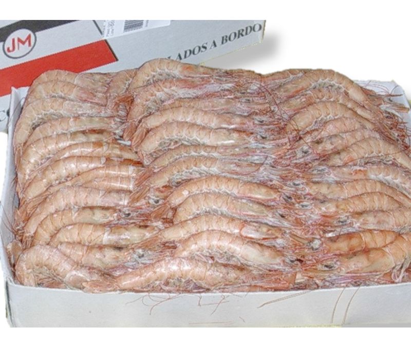 Gamba plancha blanca 100 / 108 (10 bolsas de 1 kg)