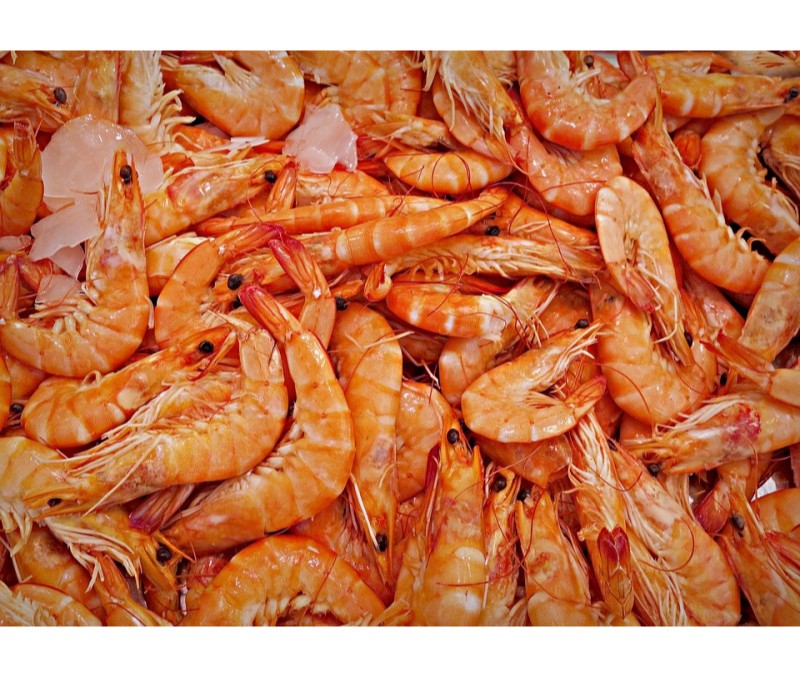 Gamba blanca arrocera 200-220 piezas/kg (1 caja de 3 kg)