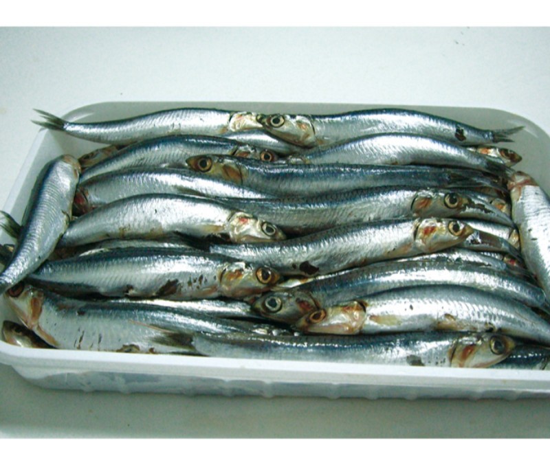 Boquerones al vinagre (10 bandejas de 500 g)