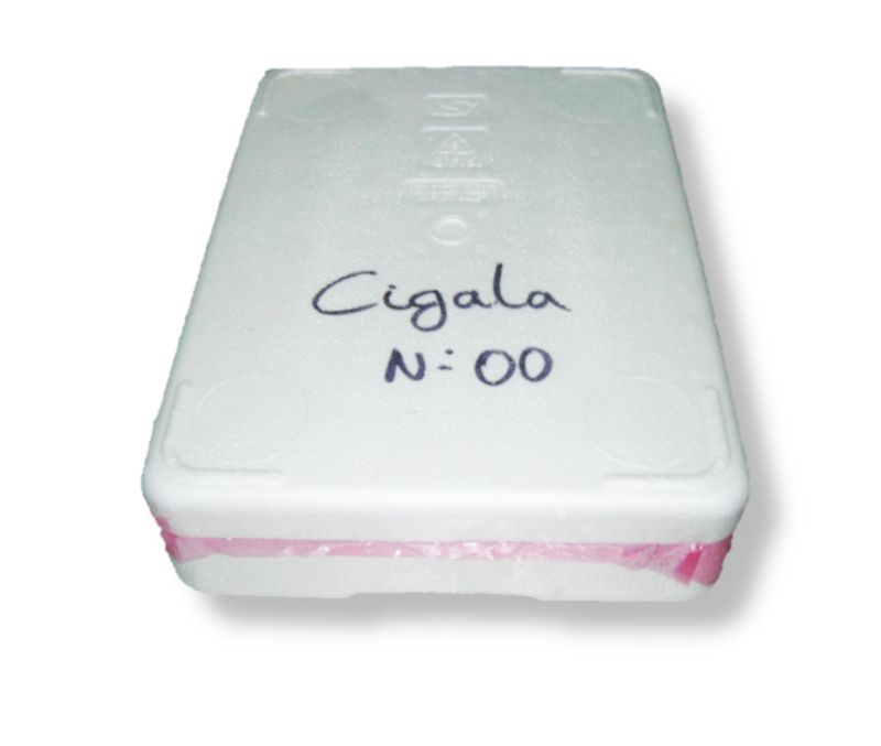 Cigala pores nº00 Islandia (1 caja de 1,5 kg)