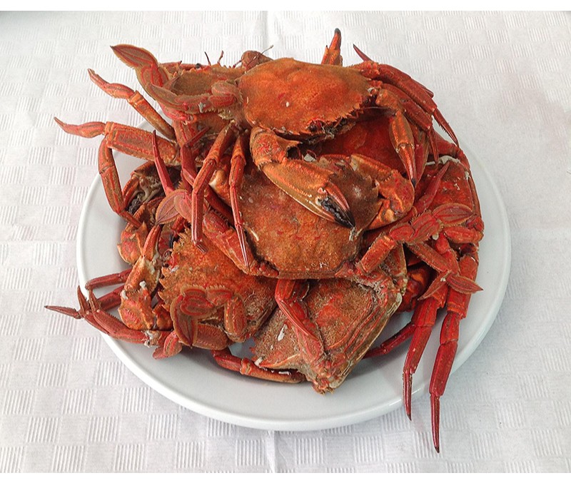 Nécora cruda gran sol 6-8 piezas/kg (1 caja de 4,8 kg)