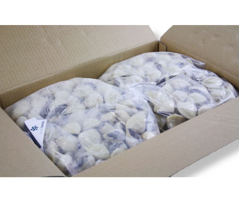 Almeja blanca del Pacífico 40-60 piezas/kg (6 bolsas de 1 kg)