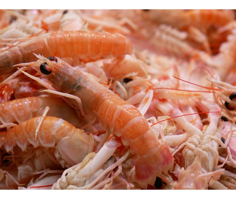 Langostino vannamei 50-60 piezas/kg (1 estuche de 1 kg)