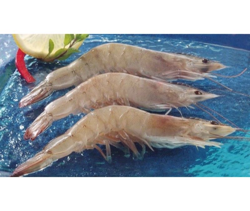 Langostino vannamei 70-80 piezas/kg (1 estuche de 1 kg)