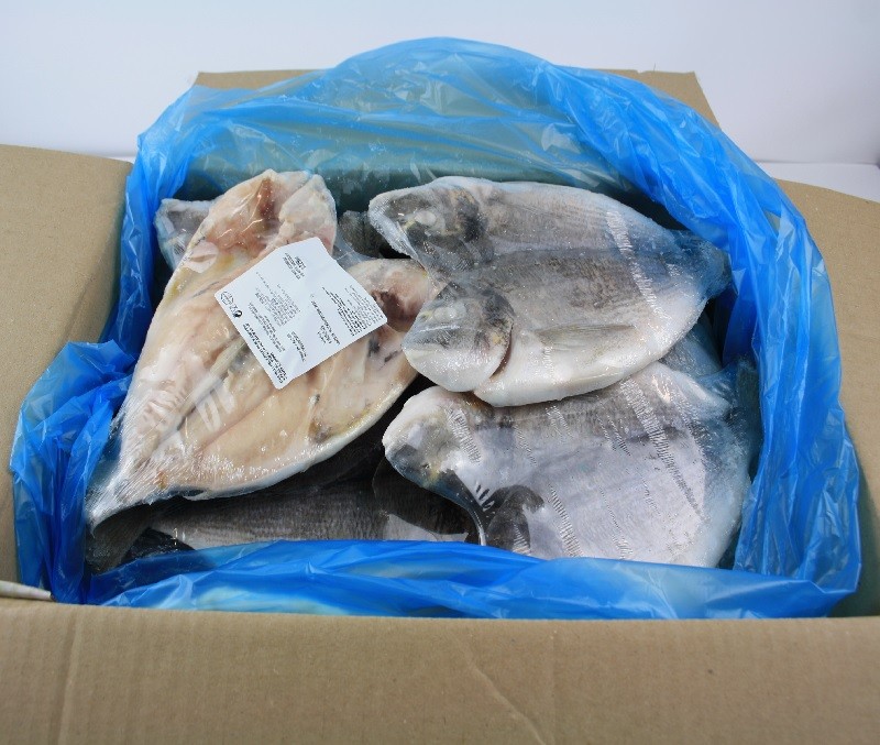 Dorada abierta 10% (1 caja de 5 kg)