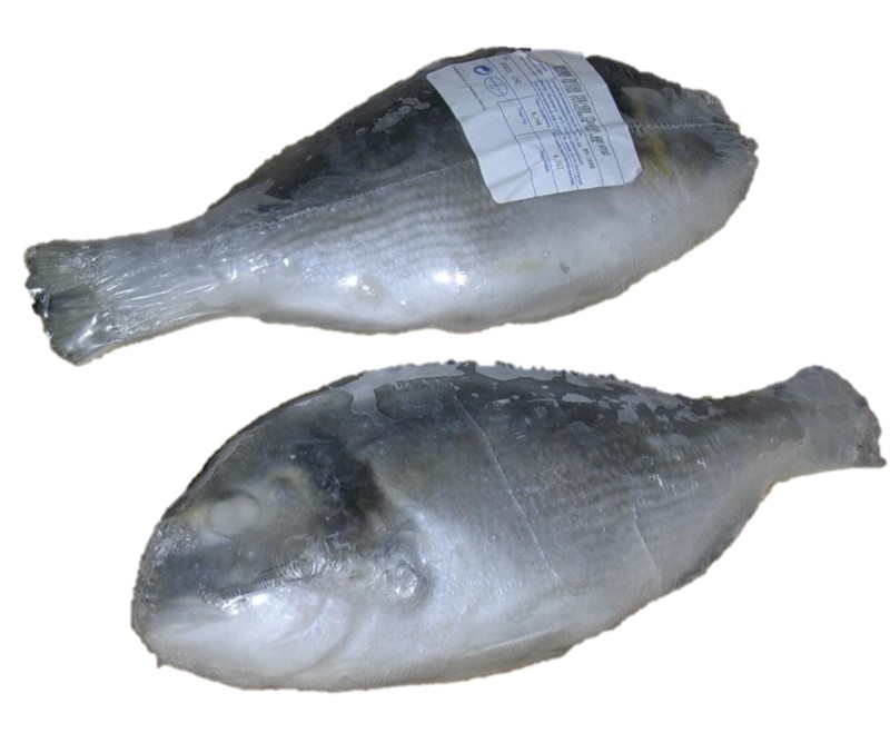 Dorada abierta 10% (1 caja de 5 kg)