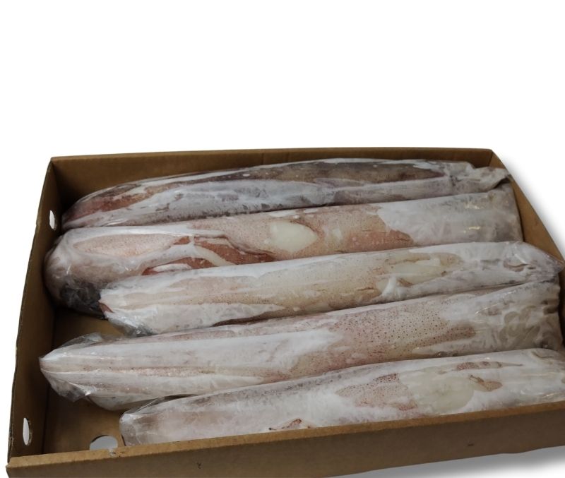 Calamar de Marruecos (Caja de 6 kg)