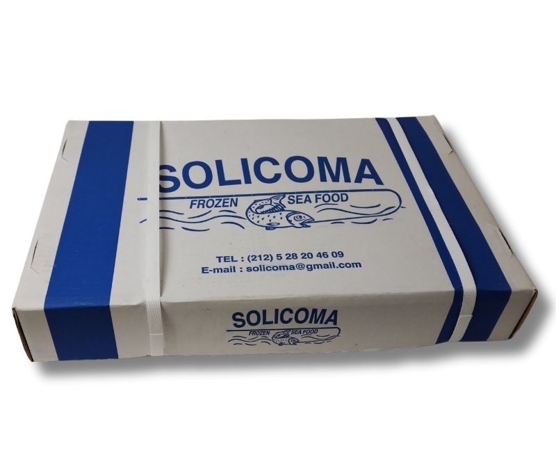 Calamar de Marruecos (Caja de 6 kg)