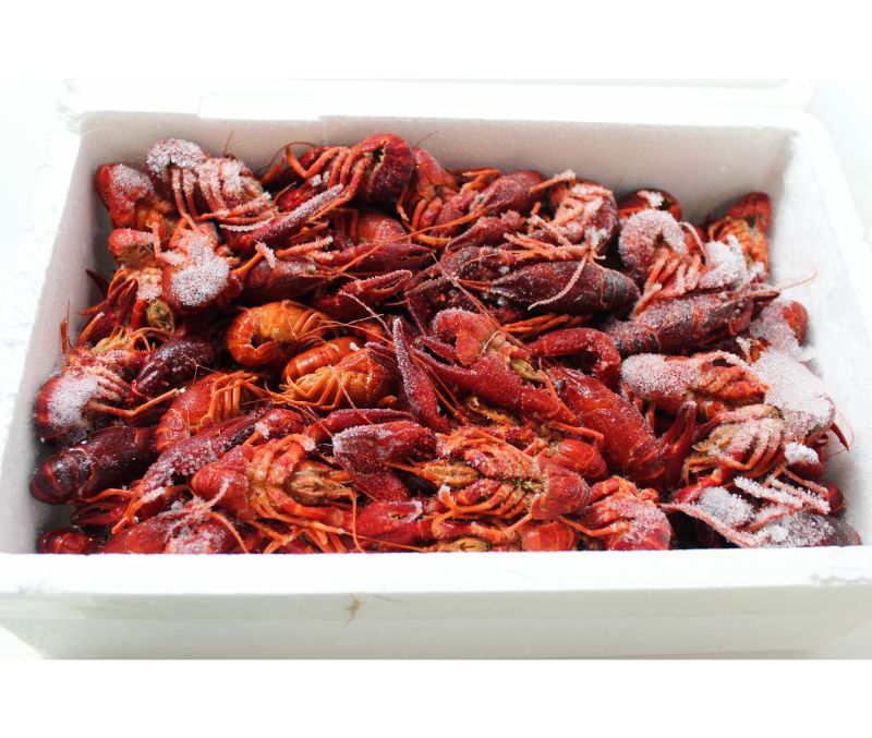 Cangrejo de río cocido 40 - 60 pz/kg (1 caja de 2 kg)