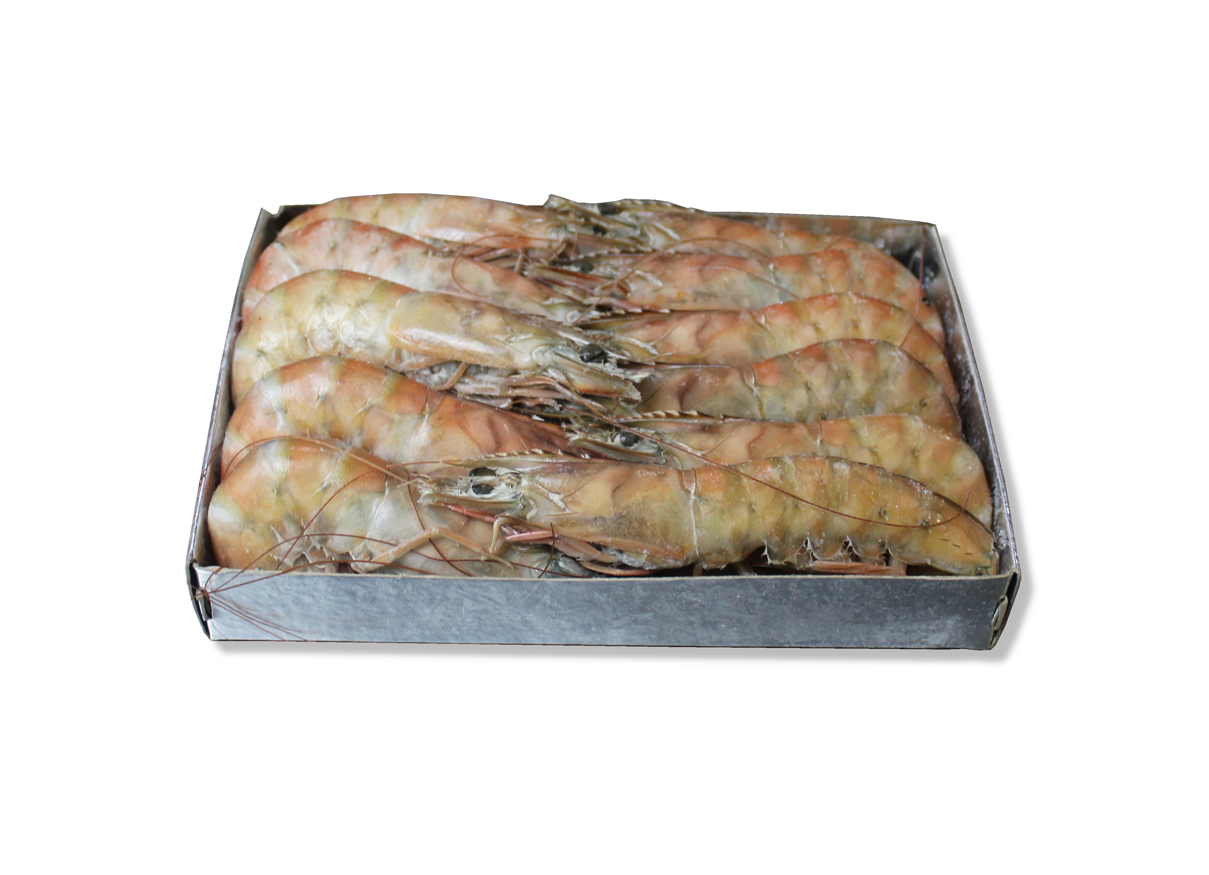 Langostino salvaje blanco 13-16 piezas (10 bolsas de 1 kg)