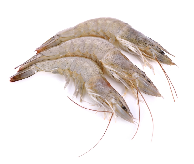 Langostino salvaje blanco 13-16 piezas (10 bolsas de 1 kg)