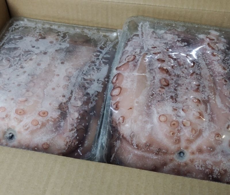 Pulpo individual con cabeza nº1 (4 bandejas de 2-3 kg aprox.)