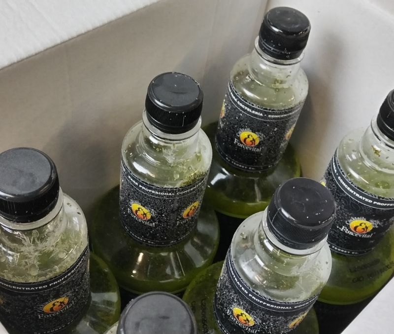 Mojito clásico (6 botellas de 1L)